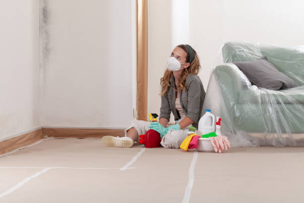 Reliable Commercial Mold Remediation contractor in Petoskey, MI by WQB Mold Removal